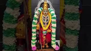 tamil kadaval murugan Karthikeya short video [upl. by Ydne]