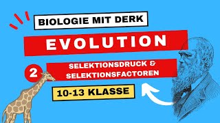 Evolution  2  Selektionsdruck und Selektionsfaktoren amp Selektionstypen  10  13 Klasse [upl. by Meeharbi725]