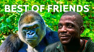 Unbreakable Bond One Keeper’s Connection To Rare Cross River Gorilla [upl. by Carmelia]