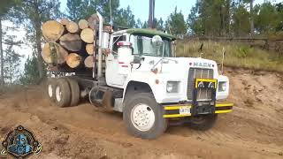 Skilled Tree Felling and Logging Machines  Chainsaws amp Wood Sawmill Power [upl. by Cacia]