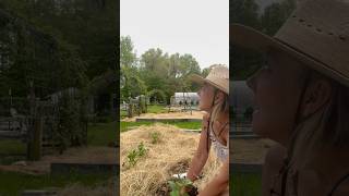 Planting during a solar eclipse farmlife gardening potager solareclipse [upl. by Cho420]