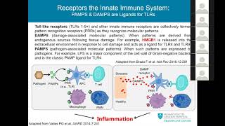 “Innate Immunity in Transplantation” by Dr Joren Madsen [upl. by Ahserak]