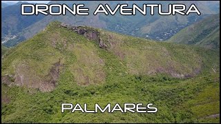 PALMARES  ARARAS PETRÓPOLIS [upl. by Haldas690]