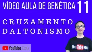 Vídeo Aula de Genética 11  Cruzando daltonismo [upl. by Krahmer]