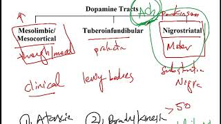 USMLE ACE Video 202 Dopamine Pathways Synthesis and Pharmacological Agents [upl. by Suisyola]