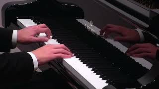 Scarlatti Sonata in d minor L 108  Bechstein Young Professionals presenting Luca Avram [upl. by Inanuah]