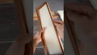 Preventing Wonky Comb amp Why Flow Hive doesn’t provide foundation Pt 3 flowhive beekeeping bees [upl. by Esyli]