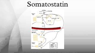 Somatostatin [upl. by Gabriella]