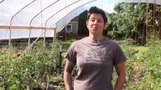 High Tunnel Initiative NRCS helps urban farmers feed Portland [upl. by Ecyak564]