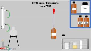 Synthesis of Benzocaine from Para Amino Benzoic Acid PABA [upl. by Enyamrahc]