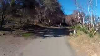 Black Bitch Sycamore Canyon Rd Pt Mugu State Park [upl. by Aba13]