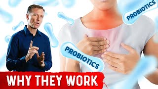 Use Probiotics for Acid Reflux [upl. by Donoghue]