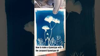 How to make a Cyanotype with the Jacquard Cyanotype Kit cyanotype jacquard jacquardproducts [upl. by Oer]