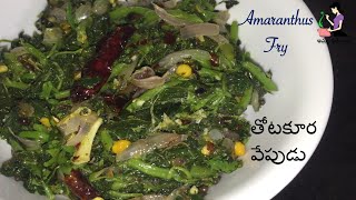 తోటకూర వేపుడు రుచికరంగా  Andhra Style Thotakura Fry In Telugu  Amaranthus Fry  Thotakura Recipes [upl. by Urquhart]