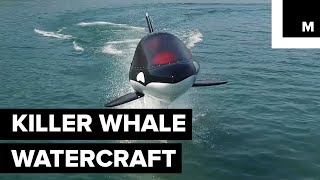 Killer WhaleInspired Watercraft [upl. by Orutra]