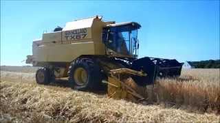 Moisson dorge 2014 New holland CX8080 et TX 67 [upl. by Hickie]