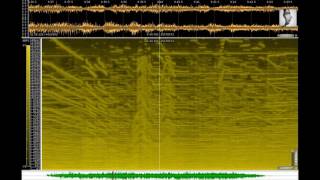 Karlheinz Stockhausen  Klang 13 Stunde Cosmic Pulses 2007 [upl. by Sukramed]