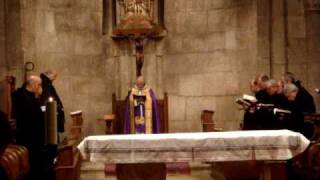 Cantos Gregorianos en el Monasterio de San Salvador de Leyre [upl. by Ntsuj]