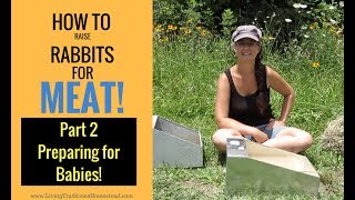 How to Raise Rabbits for Meat Part 2 Preparing For Baby Rabbits [upl. by Enehs]