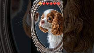 Cavalier Puppy’s First Look in the Mirror 😄🥰🥰🥰🥰 mrolympia sports music personaltrainer ventrilo [upl. by Abbie]