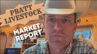 Steve Stratford Market Report for Pratt Livestock  Thursday October 3 2024 [upl. by Sella]