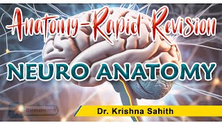 Neuroanatomy Rapid Revision  Dr Krishna Sahith [upl. by Halika714]