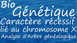 Caractère récessif lié au chromosome X [upl. by Unity]