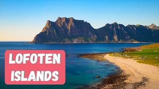 The Best Places to Visit in Lofoten Islands Norway in 4K  What to See in Lofoten in Summer [upl. by Ahcsropal]