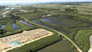 VUE DEN HAUT  Marais Oléron [upl. by Miarhpe379]