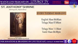 Fr Christuraj SHS  Tuesday Telugu Mass 1130am  StAnthonys Shrine Mettuguda  3924 [upl. by Lepper]