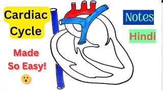 Cardiac Cycle  made SO EASY HINDI Systole Diastole Blood flow in Heart 🫀Notes [upl. by Bearce]