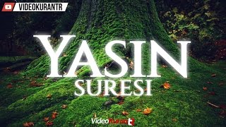 Anas Al Emadi  Yasin Suresi 37  Türkçe Kuran Mealleri [upl. by Yrtnahc]