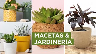 Jardinería y diseño Elegí la MACETA IDEAL para tu planta Diseños en macetas modernas y originales [upl. by Bekelja371]