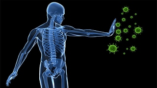 Sistema inmunológico Tratamiento con biomagnetismo 28 [upl. by Yannodrahc]