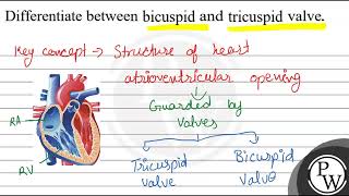 Differentiate between bicuspid and tricuspid valve W [upl. by Whelan]