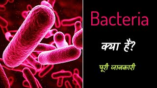 What is Bacteria with Full Information – Hindi – Quick Support [upl. by Saber802]