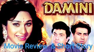 DAMINI Movie ReviewExplainedStoryPlotSynopsisSummarySunny DeolRishi Kapoor [upl. by Chow680]