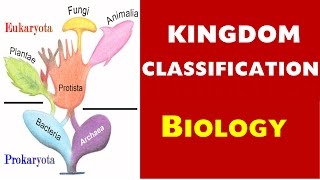 Classification of Kingdom MOST Important Biology Lecture chapter10 SSCUPSCCDSPSC amp other Govt [upl. by Yaron180]