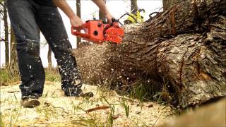 Sachs Dolmar KMS4 Wankel Rotary chainsaw [upl. by Adni]