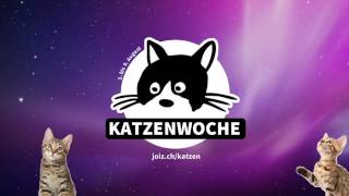 Die Katzenwoche auf joiz [upl. by Garvey]