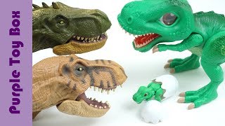 공룡메카드 SD 타이니소어 티라노 공룡메카드 캡슐 장난감 Dinosaur Toys [upl. by Eniamrahs]