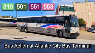 NJ Transit 319 501 551 553 Bus Action at Atlantic City Bus Terminal [upl. by Anneh540]