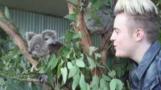 JEDWARD KOALA BEARS [upl. by Montfort]