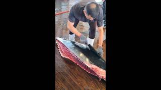 Amazing Bluefin Tuna Cutting [upl. by Ecyac]