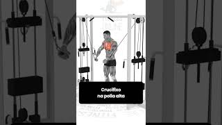 Melhor treino para biceps [upl. by Beker]