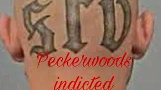 San Fernando Valley Peckerwoods get indicted by the feds [upl. by Atinihs]