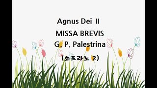 Agnus Dei 소프라노2 G P PalestrinaMISSA BREVIS [upl. by Kcirredal]