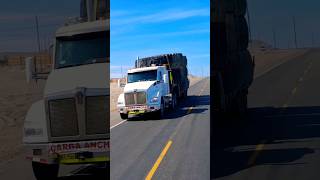 Kenworth T880 camion truck camiones feedshorts camioneros kenworth shorts viral lomasnuevo [upl. by Comethuauc]