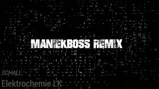 Elektrochemie LK  Schall ManiekBoss REMIX [upl. by Horowitz545]