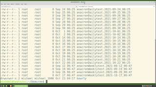 Linux Command Line 55 anacron [upl. by Neelyaj10]